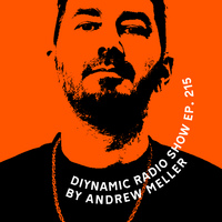 Diynamic Radio Show Episode 215 by Andrew Meller