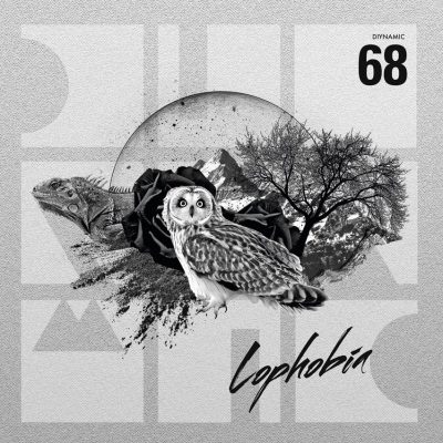 DIY 068 - Cover DIY068 - Lophobia EP (Web)